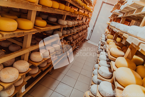 Image of A large storehouse of manufactured cheese standing on the shelves ready to be transported to markets