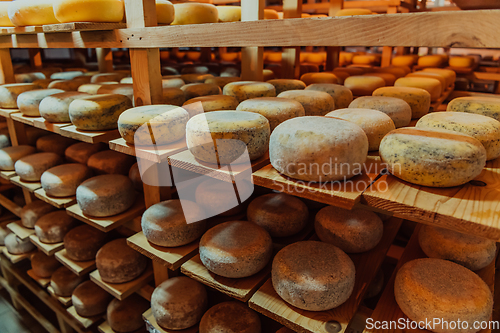 Image of A large storehouse of manufactured cheese standing on the shelves ready to be transported to markets