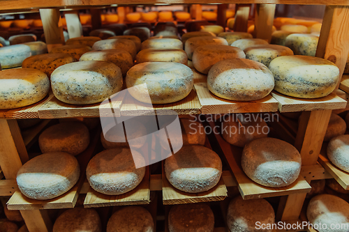 Image of A large storehouse of manufactured cheese standing on the shelves ready to be transported to markets