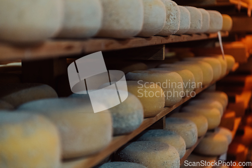 Image of A large storehouse of manufactured cheese standing on the shelves ready to be transported to markets