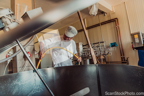 Image of A cheese makser working in the industry on various machines with the help of which cheese is processed. Small business concept