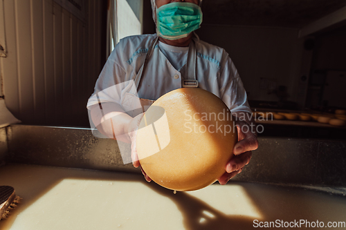 Image of A woman in the cheese industry. Woman preparing cheese for further processing process in the modern cheese industry