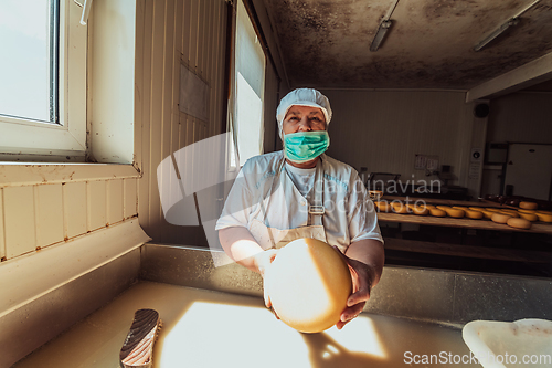 Image of A woman in the cheese industry. Woman preparing cheese for further processing process in the modern cheese industry