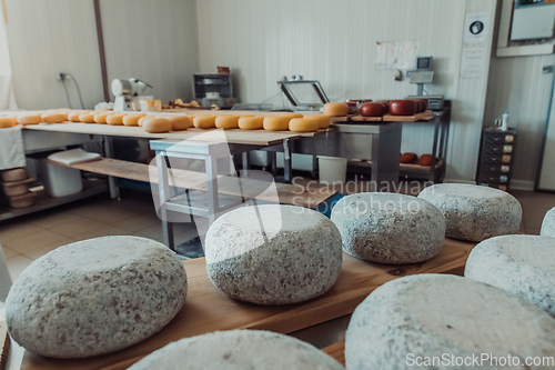 Image of A large storehouse of manufactured cheese standing on the shelves ready to be transported to markets