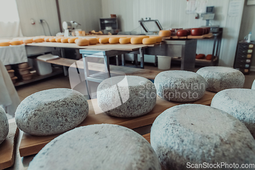 Image of A large storehouse of manufactured cheese standing on the shelves ready to be transported to markets