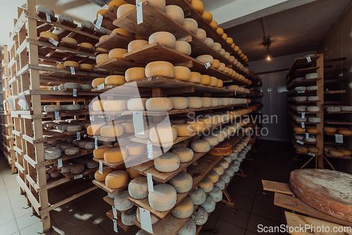 Image of A large storehouse of manufactured cheese standing on the shelves ready to be transported to markets