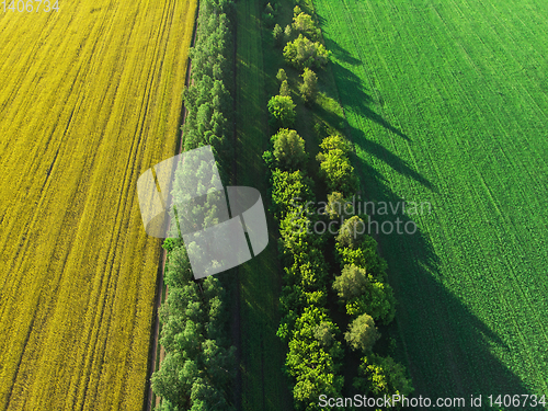 Image of aerial of flying over a beautiful green meadow