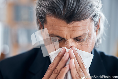 Image of Sick business man, face and blowing nose in office for cold, allergies and medical virus. Mature male worker sneezing for health problem, allergy risk and tissue for disease, sinusitis and influenza