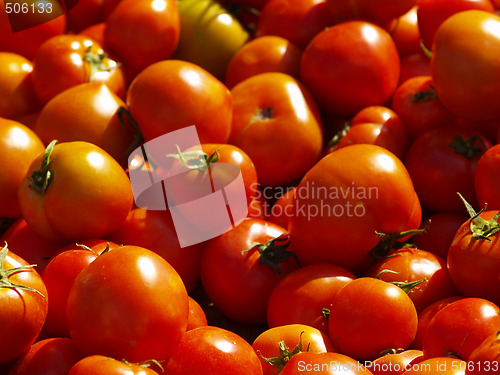 Image of fresh tomatoes