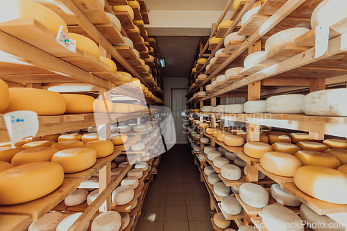 Image of A large storehouse of manufactured cheese standing on the shelves ready to be transported to markets