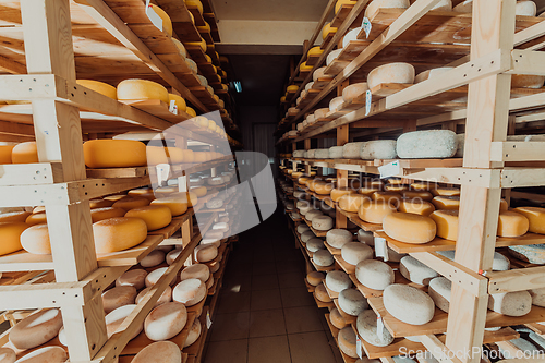 Image of A large storehouse of manufactured cheese standing on the shelves ready to be transported to markets