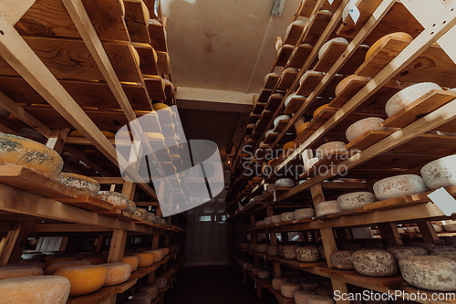 Image of A large storehouse of manufactured cheese standing on the shelves ready to be transported to markets