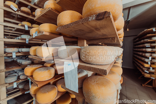 Image of A large storehouse of manufactured cheese standing on the shelves ready to be transported to markets