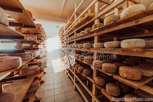 Image of A large storehouse of manufactured cheese standing on the shelves ready to be transported to markets