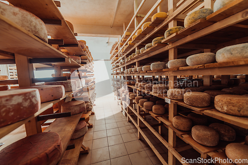 Image of A large storehouse of manufactured cheese standing on the shelves ready to be transported to markets