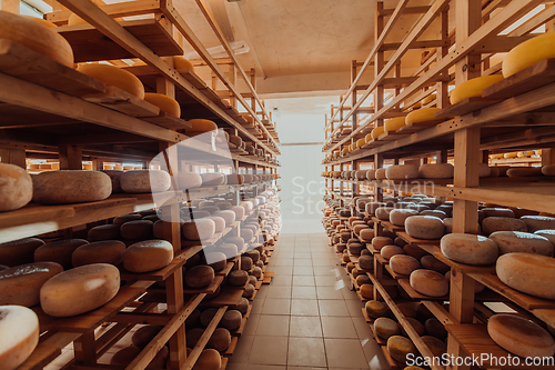 Image of A large storehouse of manufactured cheese standing on the shelves ready to be transported to markets