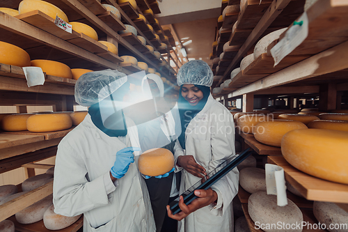 Image of Arab business partners checking the quality of cheese in the industry and enter data into a laptop. Small business concept