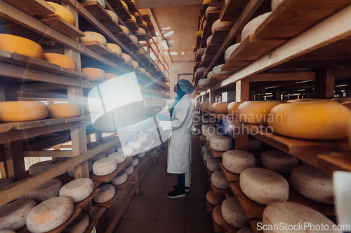 Image of African American Muslim businesswoman checking product quality and entering data into a laptop at a local cheese manufacturing company