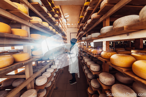 Image of African American Muslim businesswoman checking product quality and entering data into a laptop at a local cheese manufacturing company