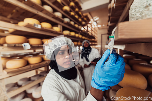 Image of Arab business partners checking the quality of cheese in the industry and enter data into a laptop. Small business concept