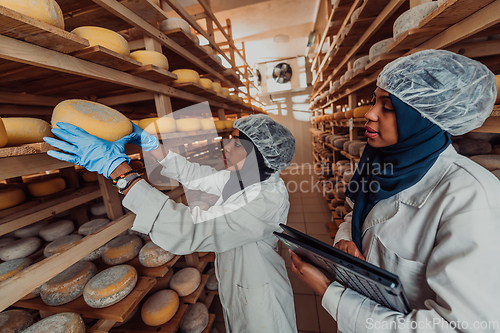 Image of Arab business partners checking the quality of cheese in the industry and enter data into a laptop. Small business concept