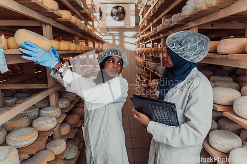 Image of Arab business partners checking the quality of cheese in the industry and enter data into a laptop. Small business concept