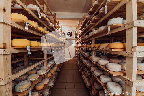 Image of A large storehouse of manufactured cheese standing on the shelves ready to be transported to markets