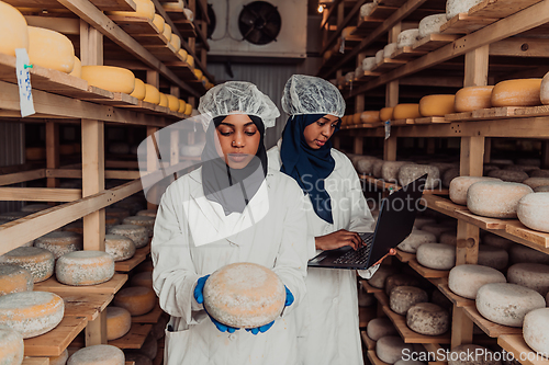 Image of Business of a Muslim partners in a cheese warehouse, checking the quality of cheese and entering data into laptop