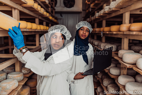 Image of Business of a Muslim partners in a cheese warehouse, checking the quality of cheese and entering data into laptop