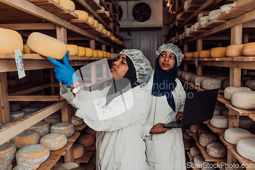 Image of Business of a Muslim partners in a cheese warehouse, checking the quality of cheese and entering data into laptop