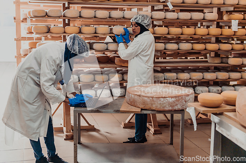 Image of Muslim business partners checking the quality of cheese in the modern industry