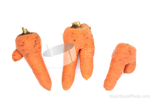 Image of Forked and Twisted Carrot Vegetables