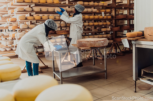 Image of Muslim business partners checking the quality of cheese in the modern industry