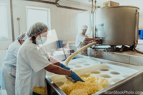 Image of Workers in the modern industry for the processing of dairy products and the production of various types of cheese perform various operations manually and on machines