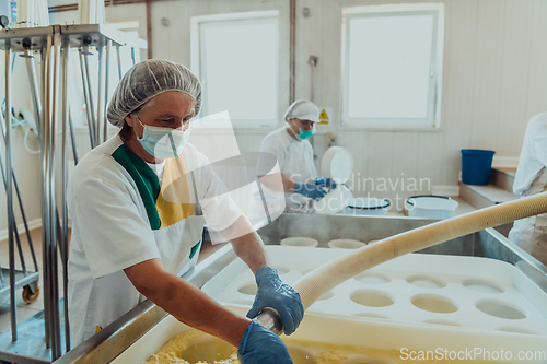 Image of Workers in the modern industry for the processing of dairy products and the production of various types of cheese perform various operations manually and on machines