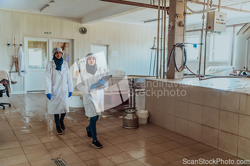 Image of Arab business partner visiting a cheese factory. The concept of investing in small businesses