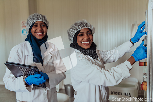 Image of Arab business partners checking the quality of cheese in the industry and enter data into a laptop. Small business concept