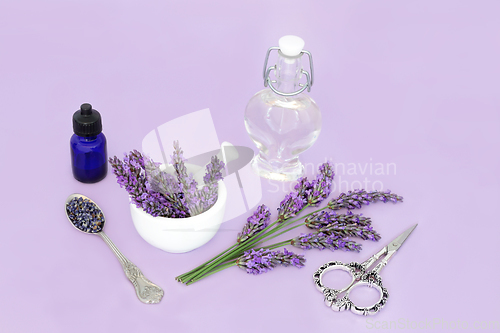 Image of Lavender Herb Flower Essence Preparation