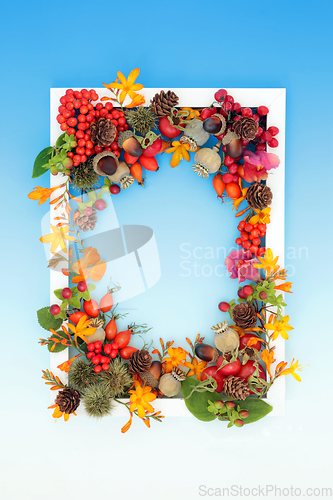 Image of Thanksgiving Autumn Fall Festive Floral Nature Background