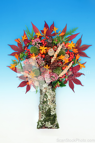 Image of Surreal Nature Autumn Fall Thanksgiving Tree Composition