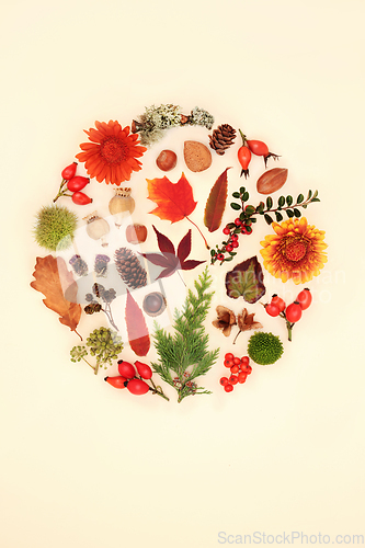 Image of Autumn Fall Flora and Fauna Thanksgiving Design