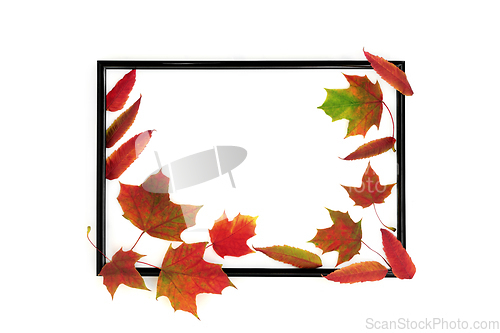 Image of Autumn Fall Background Frame with Vivid Red Leaves
