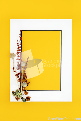 Image of Autumn Fall Minimal Background Border 