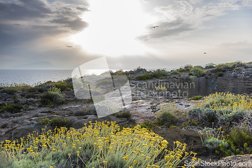 Image of Seaside landscape in the morning at sunrise