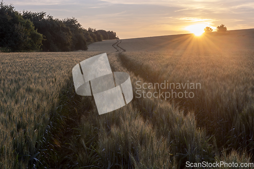 Image of Summer landscape and sunset