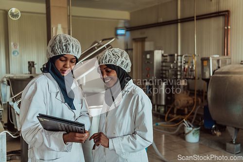 Image of Arab business partners checking the quality of cheese in the industry and enter data into a laptop. Small business concept