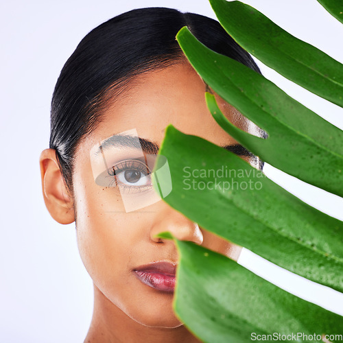 Image of Skincare, leaf and portrait of woman in studio for natural, cosmetic or organic treatment on grey background. Plant, face and lady wellness model with monstera, beauty or facial and dermatology