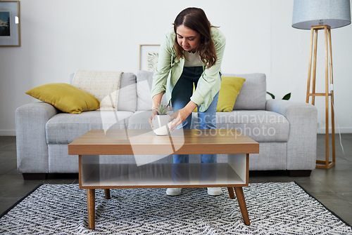 Image of Potted plant, home decor and a woman in the living room of her apartment for spring cleaning. Coffee table, housework or chores with a young homeowner indoor for the aesthetic decoration of furniture