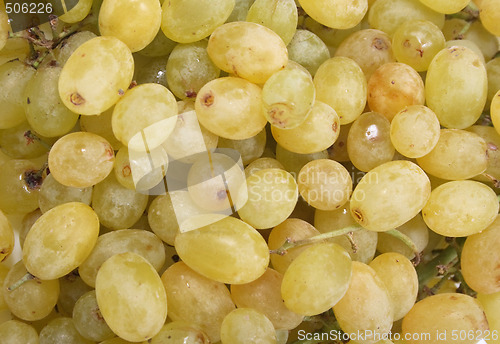 Image of grapes background