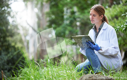 Image of Science in forest, analysis and woman with checklist in nature, studying growth of trees and sustainable plants. Ecology, green development and research in biology, scientist with clipboard on grass.